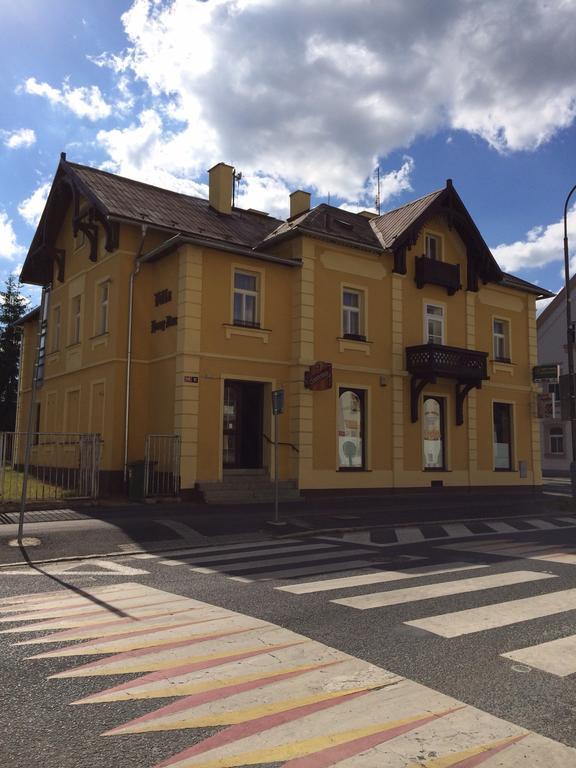 Pension Vidhous 1 Františkovy Lázně Dış mekan fotoğraf