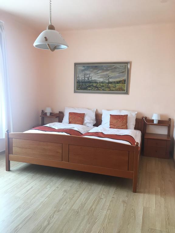Pension Vidhous 1 Františkovy Lázně Dış mekan fotoğraf